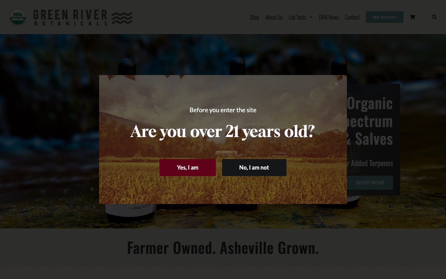The current homepage